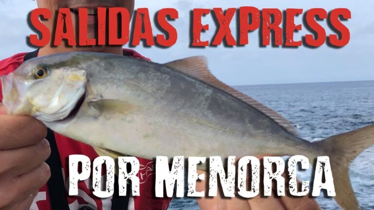 Descubre los increíbles destinos de playa en Serviola y disfruta del paraíso