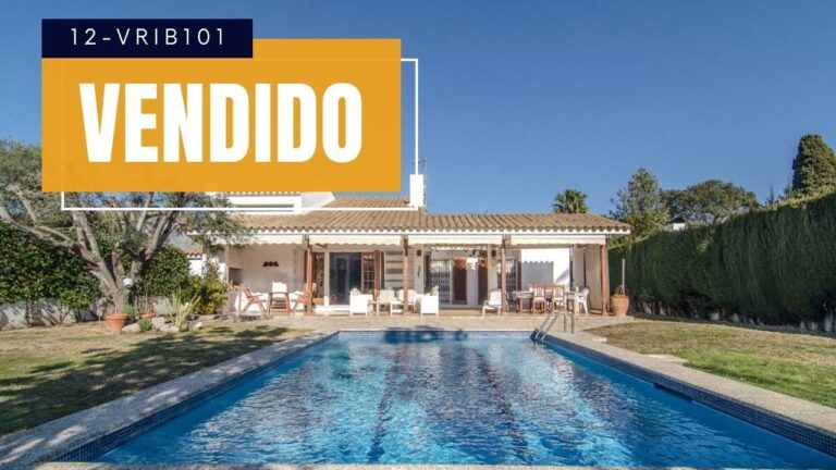 Benicasim: Descubre los mejores lugares para disfrutar con tu perro