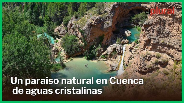 Para&iacute;sos costeros: &iexcl;Disfruta con tu perro en playas id&iacute;licas!
