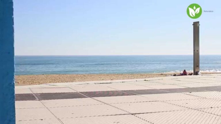 Descubre el paraíso costero de Manilva en Málaga