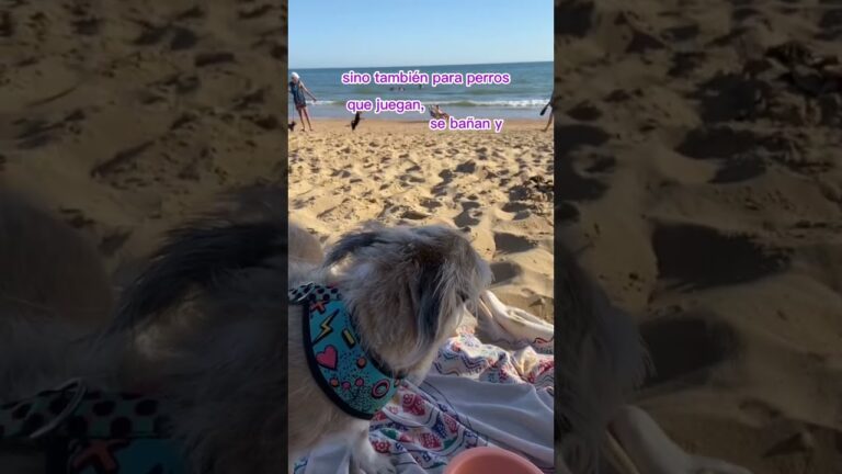 Hendaya: Descubriendo la belleza oculta de sus playas