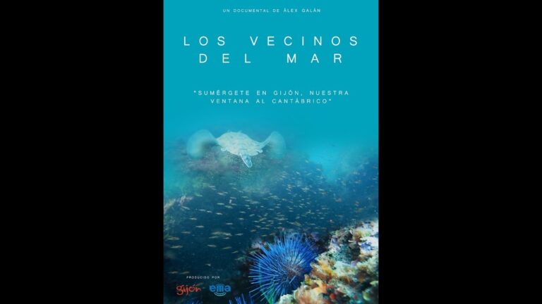 Descubre las emocionantes actividades acu&aacute;ticas en Gij&oacute;n: diversi&oacute;n en las playas