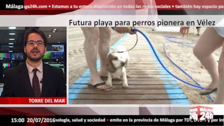 Málaga ofrece espacios dog-friendly en sus playas para disfrutar con tu perro