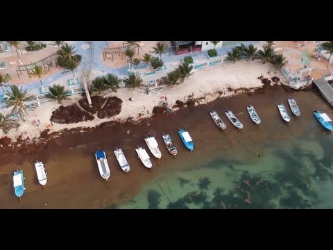 Descubre la belleza oculta de las costas caribeñas en una emocionante exploración