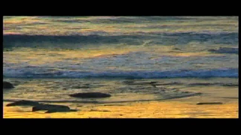 Descubre las playas imprescindibles del Grove en Galicia
