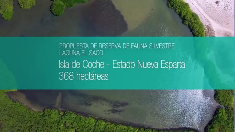 Descubre las Joyas Costeras de Venezuela: Tesoros Naturales en 70 caracteres