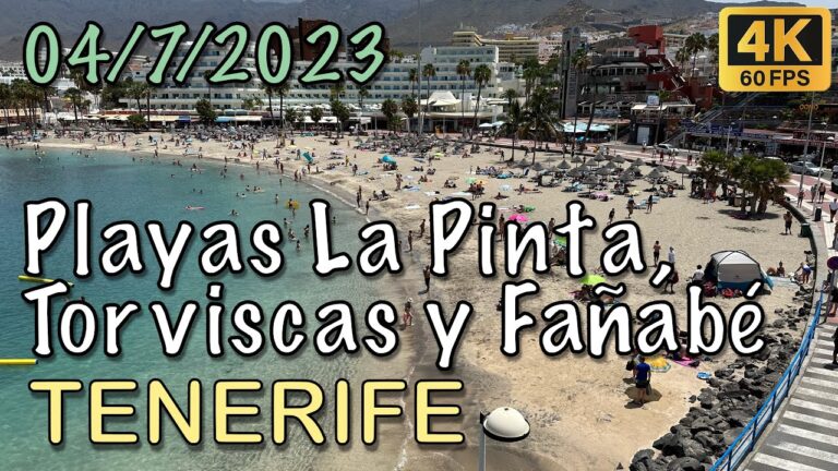 Descubre las mejores actividades en las playas de Fa&ntilde;ab&eacute;