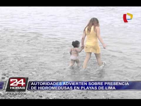 Descubre las playas paradisíacas del Callao: un paraíso a tus pies