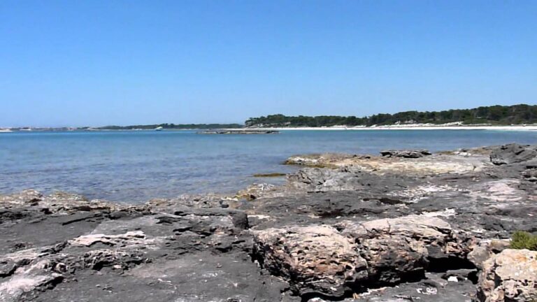 Descubre las playas paradisíacas de Ses Salines, Mallorca