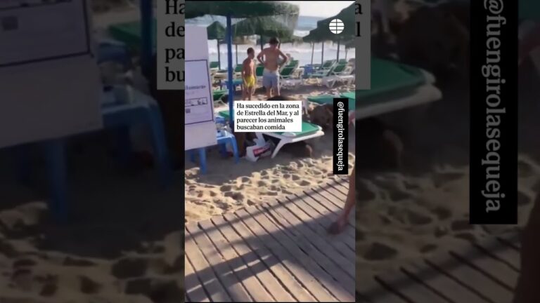 Descubre las impresionantes playas de arena en Marbella