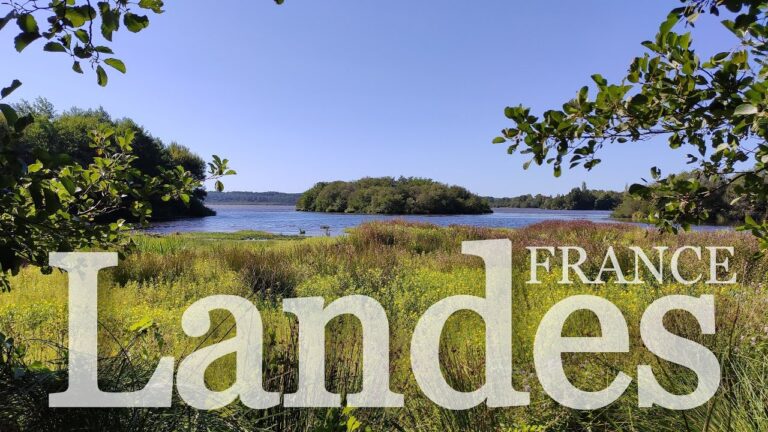 Descubre las emocionantes actividades acuáticas en Las Landas: ¡Diversión en el agua asegurada!