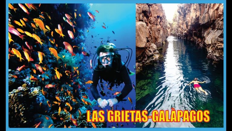Descubre los atractivos turísticos en las playas alemanas: ¡un paraíso costero por explorar!