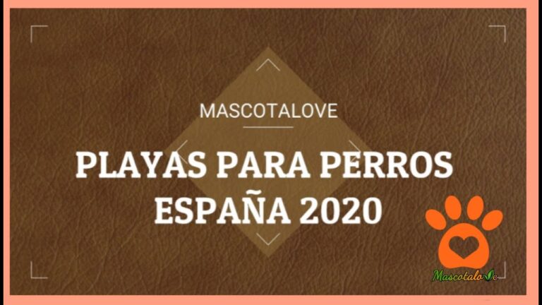 Descubre las playas dog-friendly en Tarragona: ¡diversión asegurada para perros!