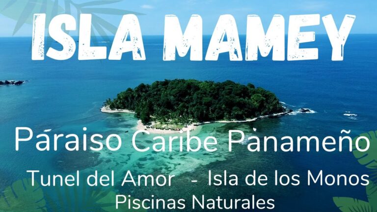 Descubre las emocionantes actividades acuáticas en las playas de Malibú
