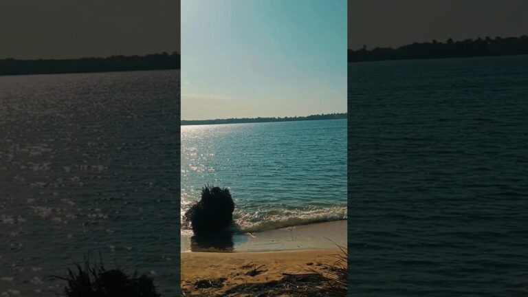 Descubre playas paradisíacas sin restricciones: un paraíso sin límites