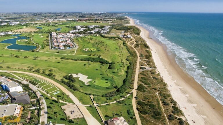 Descubre el turismo en la deslumbrante costa de Ballena