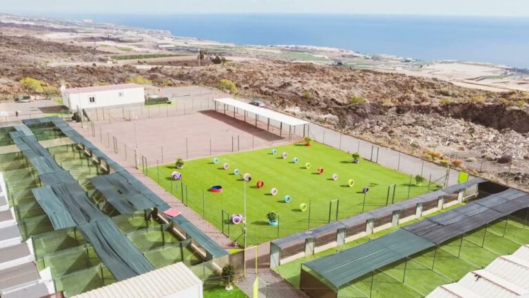 Paraísos perrunos en Tenerife: descubre los mejores lugares para disfrutar con tu perro