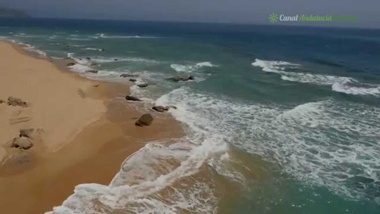 Descubre las playas paradisíacas en Cádiz: un paraíso tranquilo