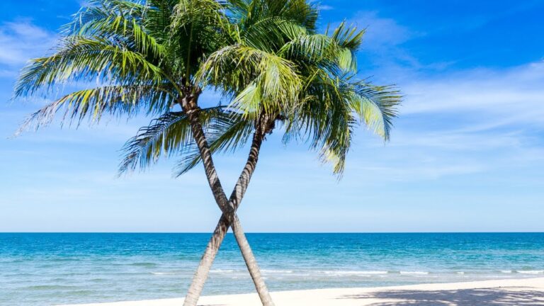 Descubre los impresionantes fondos de pantalla de playas paradis&iacute;acas