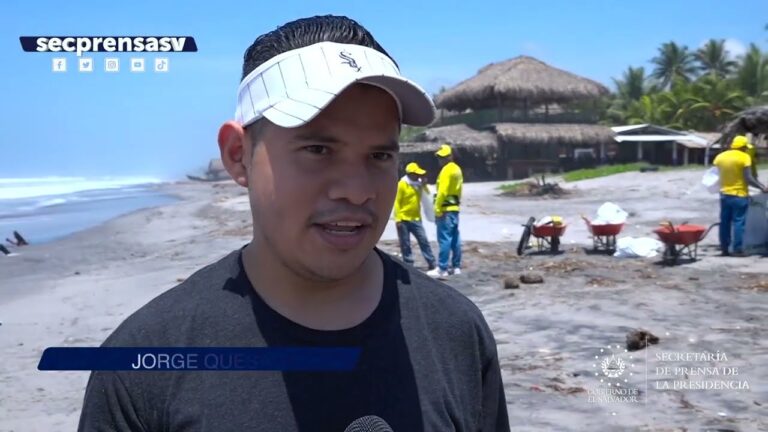 5 Acciones imprescindibles para playas impecables