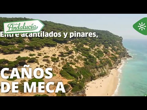 Descubre las playas paradisíacas de Benalmádena.