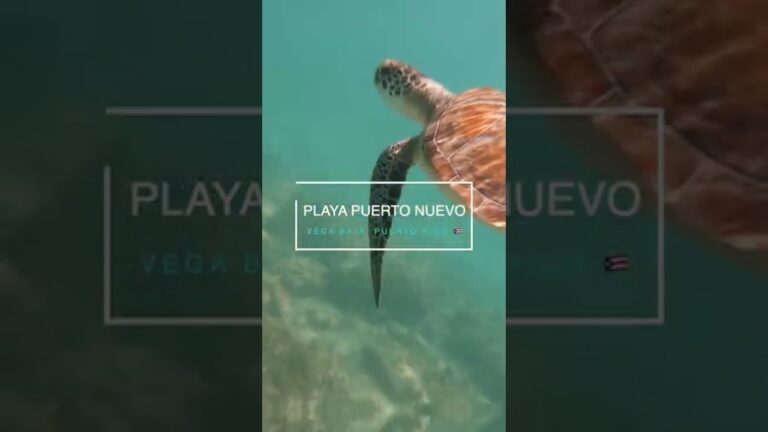 Descubre el encanto de Puerto de Vega: playas paradisíacas esperan