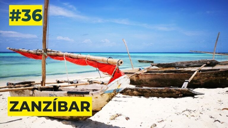 Descubriendo tesoros ocultos en las costas de Tanzania