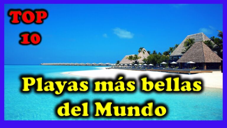 Descubre las maravillas naturales en nuestras playas