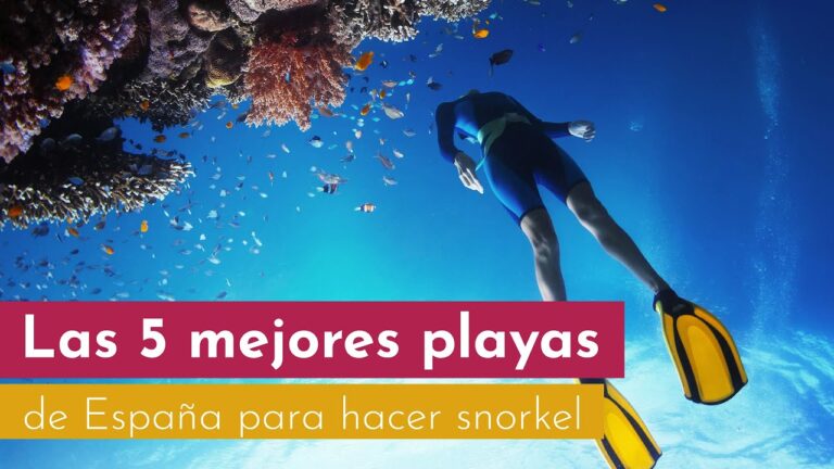 Descubre las playas paradis&iacute;acas de Andaluc&iacute;a para disfrutar del snorkel