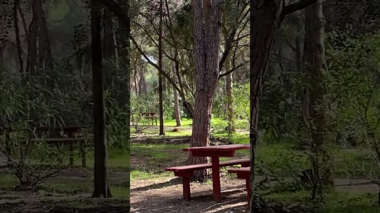 Descubre la mágica belleza natural de Málaga