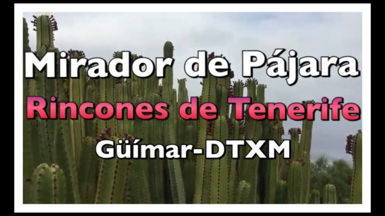 Descubre los rincones de ensue&ntilde;o en Tenerife Sur: &iexcl;Una experiencia inolvidable!