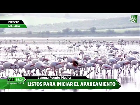 Descubre las maravillas costeras de Andalucía: un paraíso mediterráneo