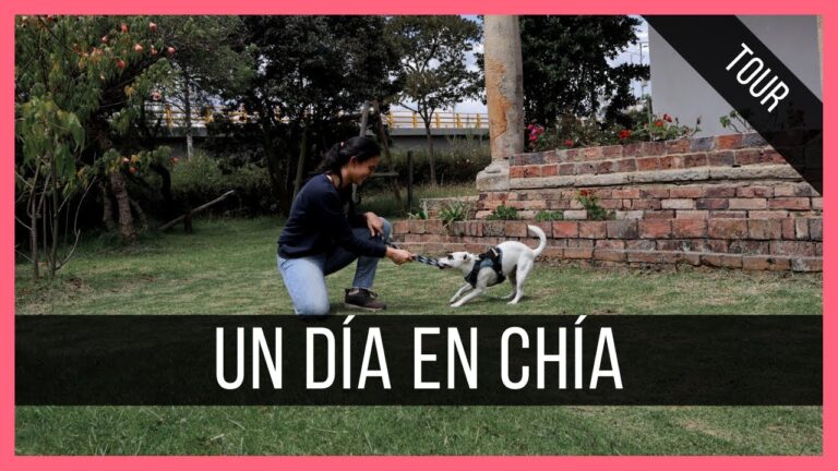 Descubre las mejores actividades en las playas de Ch&iacute;a: diversi&oacute;n garantizada