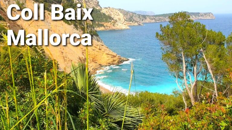 Descubre los fascinantes colores de arena en las playas de Mallorca
