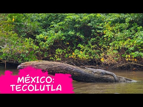 Descubre los para&iacute;sos costeros de M&eacute;xico: Lugares paradis&iacute;acos del litoral mexicano