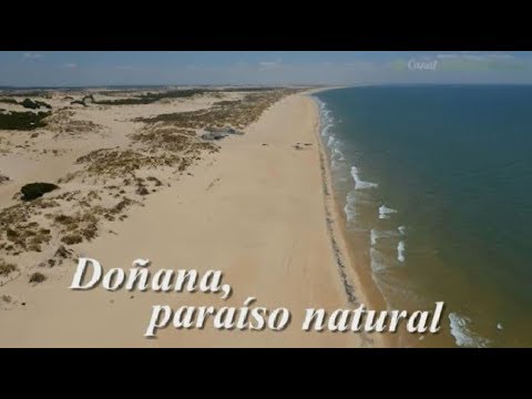 Descubre las Experiencias Únicas y Naturales en España
