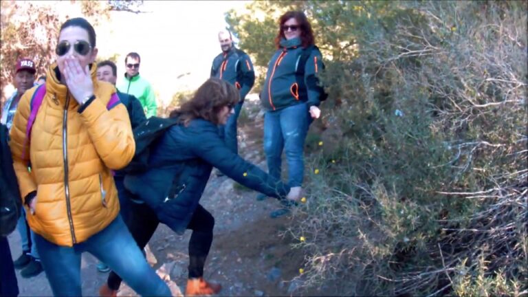 Calblanque Murcia: Descubre la maravilla de su belleza natural