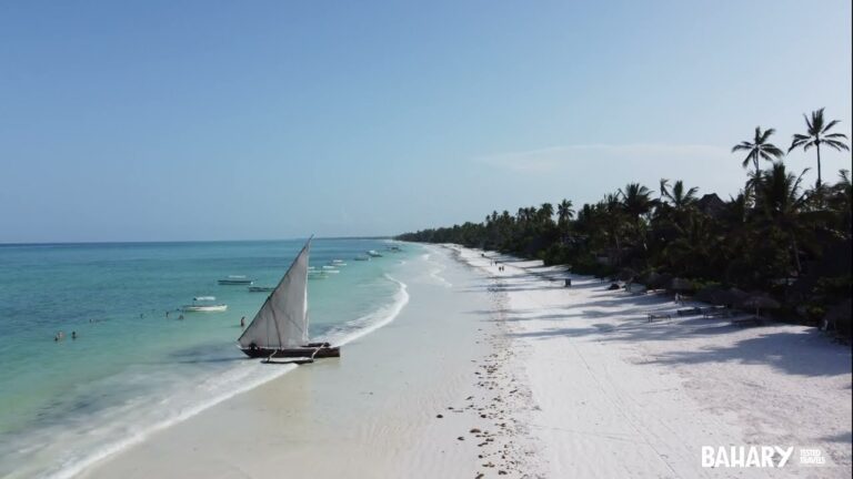 Descubre las playas vírgenes de Tanzania: un paraíso por explorar