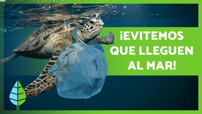 Playas contaminadas: las principales causas reveladas
