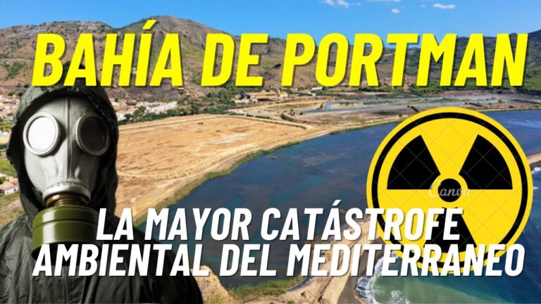 Descubre las emocionantes actividades acu&aacute;ticas en las playas de Portman