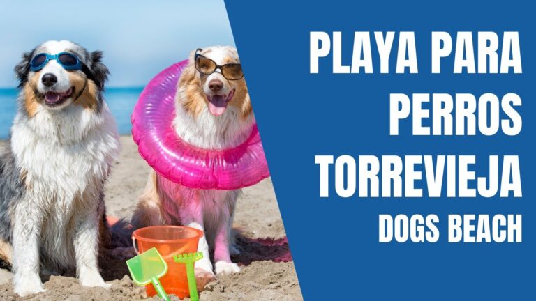 Descubre los mejores lugares en Torrevieja para disfrutar con tu perro