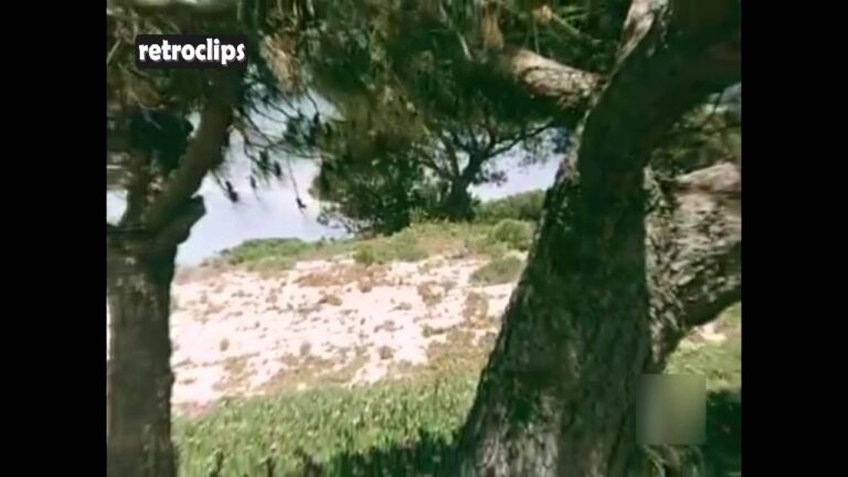 Descubre las playas vírgenes de la costa española: un paraíso natural