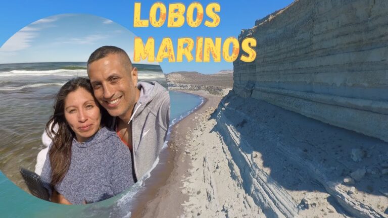 Descubre los secretos ocultos en las playas de la Isla de Lobos