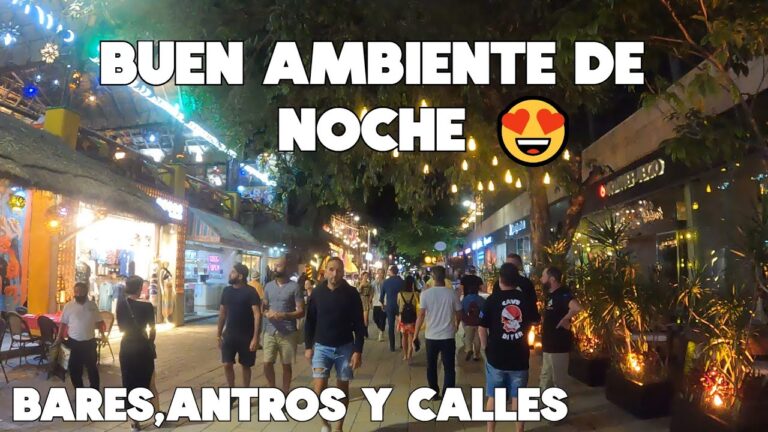 Descubre los mejores restaurantes y bares en la avenida de las playas
