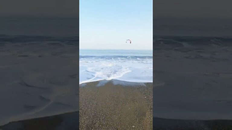 Descubre las mejores playas para relajarte en Torre del Mar