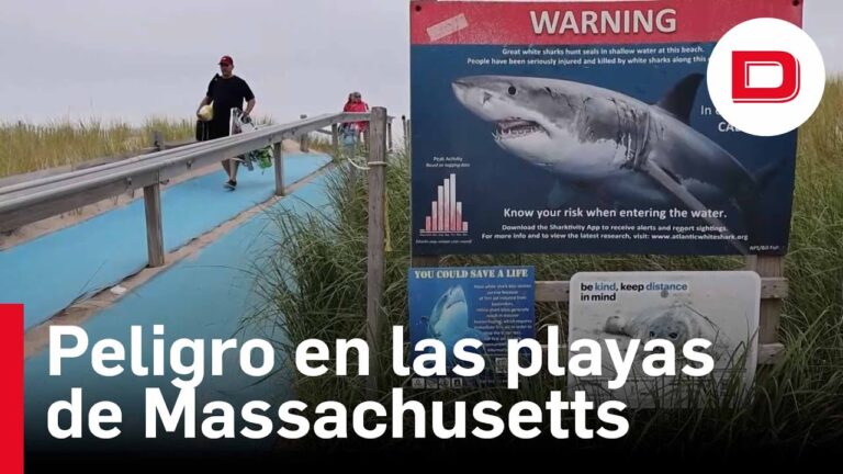Descubre los mejores puntos de observaci&oacute;n en las playas: &iexcl;sorprendentes vistas garantizadas!