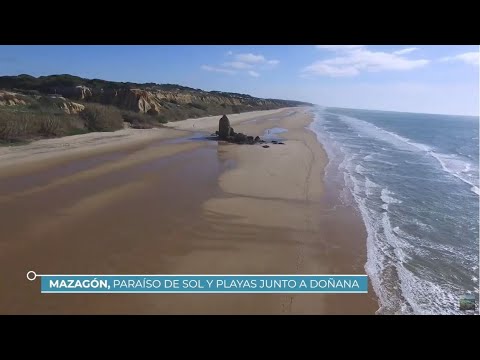 Descubre la exquisita gastronomía costera de las Playas del Estrecho