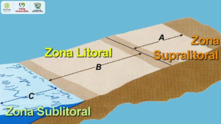 Descubre el encanto costero de Malpica: Explora su litoral