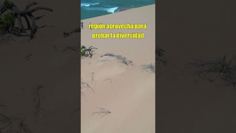 Descubre las maravillas de las playas v&iacute;rgenes de Santa Marta