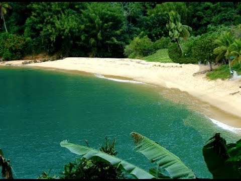 Descubre las playas paradisíacas de San Sebastián: un paraíso costero